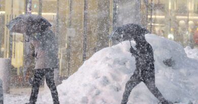 New York : La ville paralysée par la plus grande tempête de neige décennale