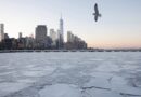 New York : Le maire ne permet pas les déplacements à cause de la tempête.