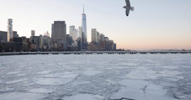 New York : Le maire ne permet pas les déplacements à cause de la tempête.