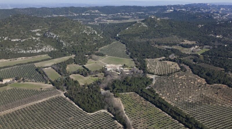 Nicolas Sarkozy assigné en justice pour la destruction d'un mas à Fontvieille ? Pas exactement.