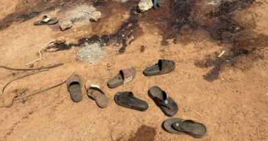 Nigeria : Attaques djihadistes dans sept villages, de nombreuses victimes