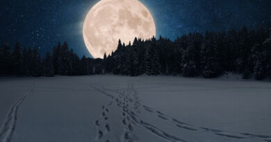 Nuit exceptionnelle : la "Lune des Neiges" visible à l'œil nu