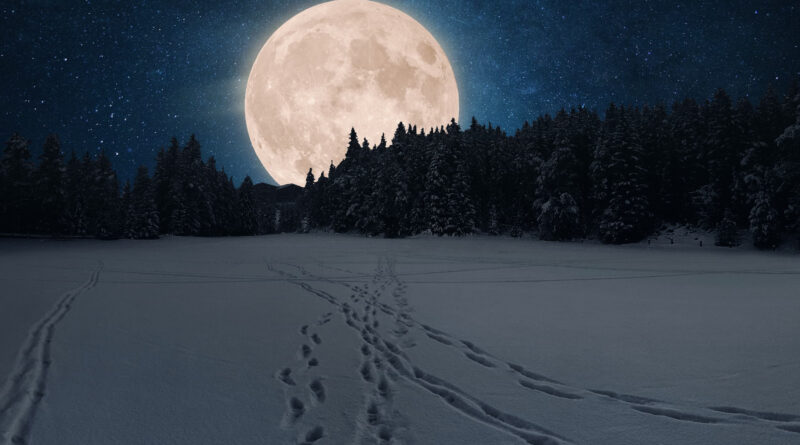 Nuit exceptionnelle : la "Lune des Neiges" visible à l'œil nu