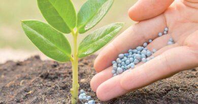 OCP Africa dévoile à Nairobi ses initiatives sur la sécurité alimentaire.