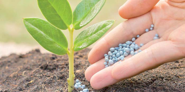 OCP Africa dévoile à Nairobi ses initiatives sur la sécurité alimentaire.