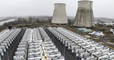 Parcs de batteries pour stocker l'énergie : bénéfices pour les usagers ?