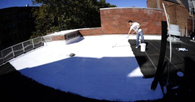 Peindre son toit en blanc : une bonne idée contre la chaleur ?