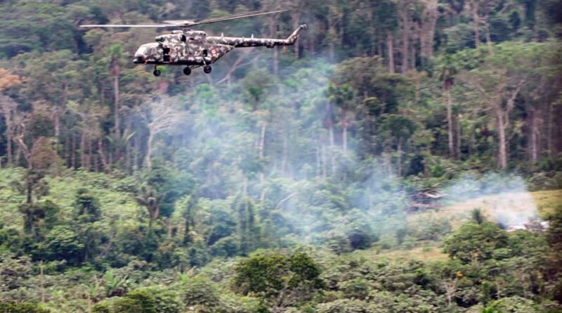 Pérou : Un chien est le seul survivant d'un crash, 15 morts