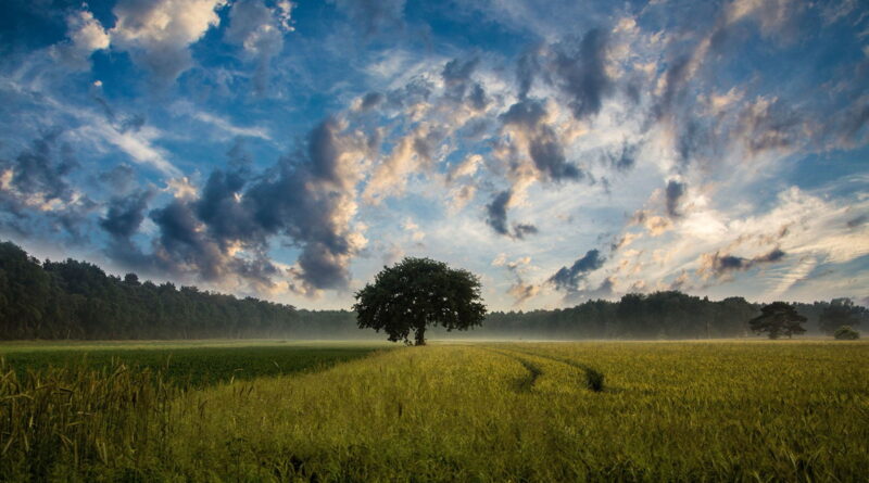 Perturbations météorologiques en Tunisie : informations clés pour les jours à venir.
