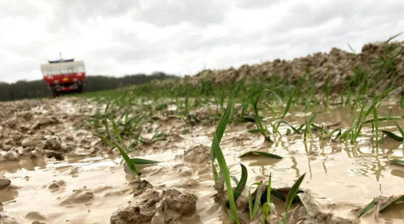 Pluies généreuses, agriculture en attente : un mieux mais des risques persistent