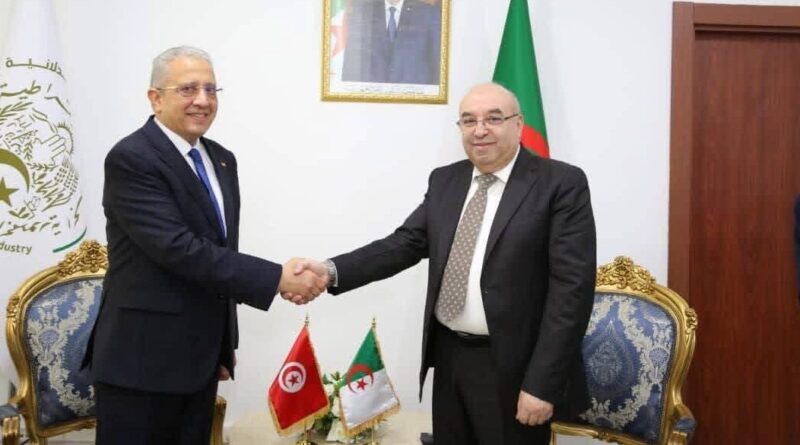 Production locale de médicaments : la Tunisie et l'Algérie ne cherchent pas de synergies.