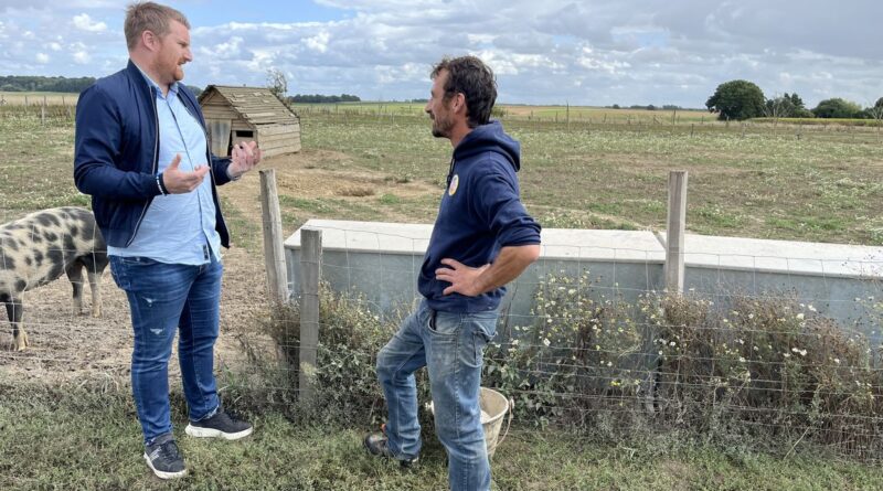 Réduire l’élevage porcin en Flandre : malaise agricole ou transition écologique ?