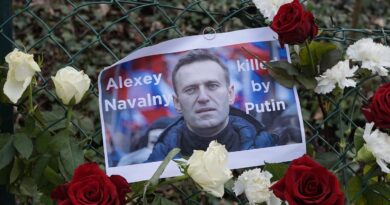 Russie : La mère d'Alexeï Navalny réclame « justice » pour son fils « empoisonné »