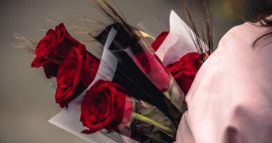 Saint-Valentin : D’où proviennent les roses achetées le 14 février ?