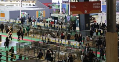 Salon de l'agriculture : 15 interpellations, un policier et un gendarme blessés