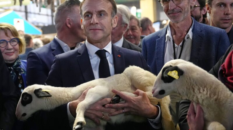 Salon de l’agriculture : Emmanuel Macron se promène sans vaches.