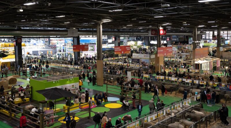 Salon de l’Agriculture : Fréquentation chute libre sans bovins