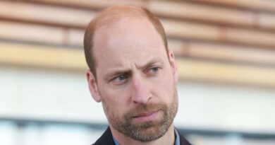 Santé mentale : Le prince William plaide pour des « modèles masculins »