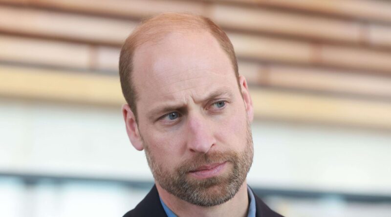 Santé mentale : Le prince William plaide pour des « modèles masculins »