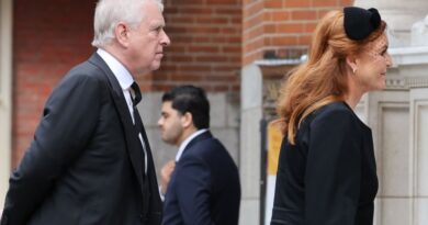 Sarah Ferguson ferme six sociétés avant l'arrestation d'Andrew Mountbatten-Windsor
