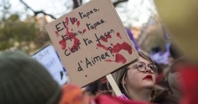 Seine-et-Marne : Un ex-« compagnon » arrêté après la découverte d'un corps mutilé