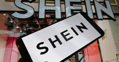 Shein : Pourquoi la plateforme choisit Grenoble, Limoges, Dijon ?