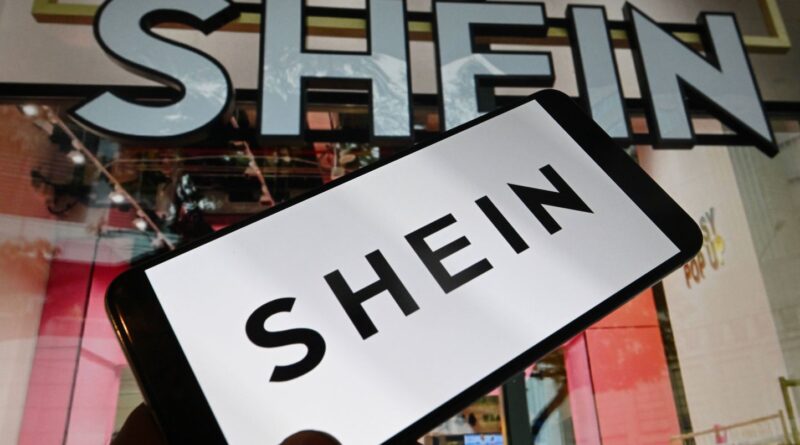 Shein : Pourquoi la plateforme choisit Grenoble, Limoges, Dijon ?