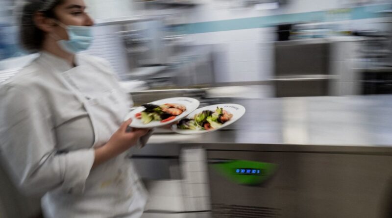 Stratégie nationale de l'alimentation : les éléments clés à retenir.