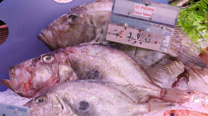 Surpêche en France : « On doit savoir comment le poisson a été attrapé »