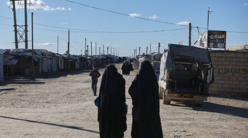 Syrie : Des milliers de femmes et enfants de djihadistes quittent Al-Hol