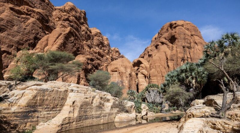 Tchad : Un touriste français disparu retrouvé mort dans un accident.