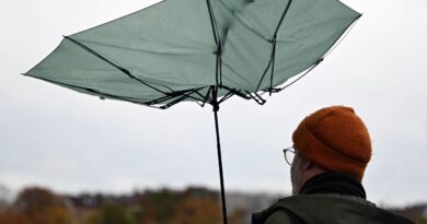 Tempête Nils, inquiétudes sur le lait infantile, Cizeron-Fournier en or.