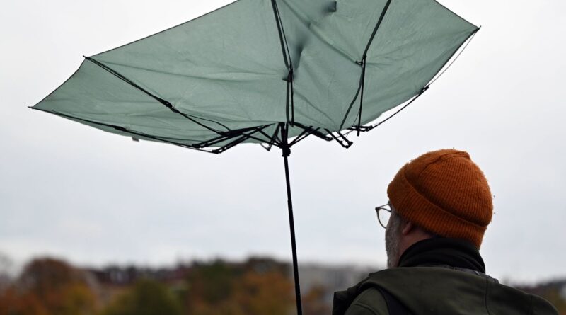 Tempête Nils, inquiétudes sur le lait infantile, Cizeron-Fournier en or.