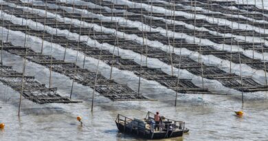 Tensions entre le Japon et la Chine après arrestation d'un bateau de pêche chinois