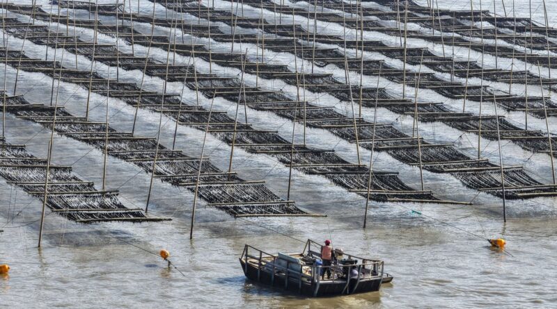 Tensions entre le Japon et la Chine après arrestation d'un bateau de pêche chinois