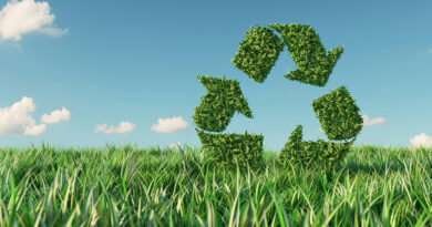 Transition écologique : Une opportunité économique essentielle pour l'entrepreneuriat