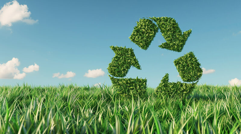 Transition écologique : Une opportunité économique essentielle pour l'entrepreneuriat