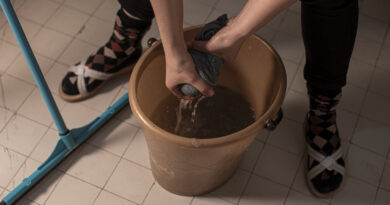 Travailleuses domestiques : Dix ans de lois, besoin d'application concrète toujours présent