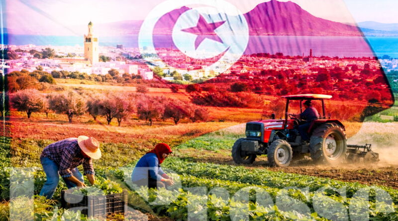 Tunisie : le secteur agricole ne domine pas les investissements privés de l'APIA.