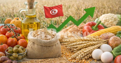 Tunisie : l’excédent du commerce alimentaire s’élève à 425 MD en janvier 2026