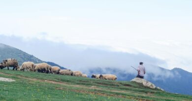Un berger espagnol secouru après un mois d'isolement violent.