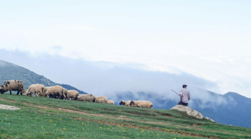 Un berger espagnol secouru après un mois d'isolement violent.
