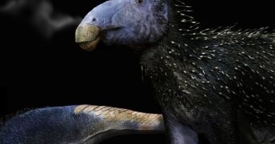 Un dinosaure inédit avec des épines découvert en Chine