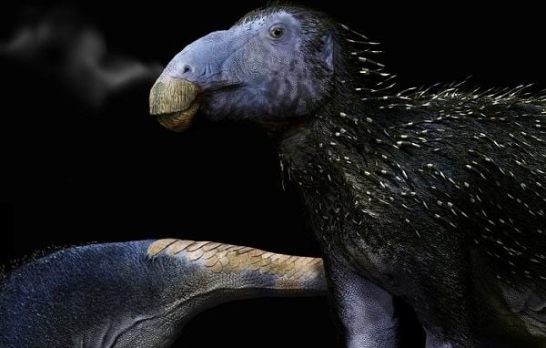 Un dinosaure inédit avec des épines découvert en Chine