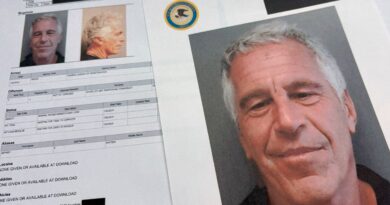 Un ex-conseiller de Sarkozy dans le scandale Epstein : homophobie, racisme…