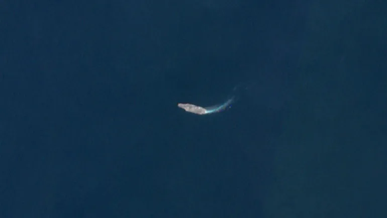 Le porte-avions USS Abraham Lincoln (CVN-72) de la marine américaine naviguant dans la mer d’Oman, à environ 700 kilomètres au large des côtes iraniennes, le 15 février 2026.
