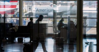 « Vos critiques sur les nouvelles conditions de voyage : terminés les USA ! »