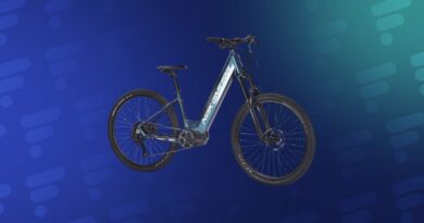 VTT électrique en promotion : 300 € de réduction chez Intersport.