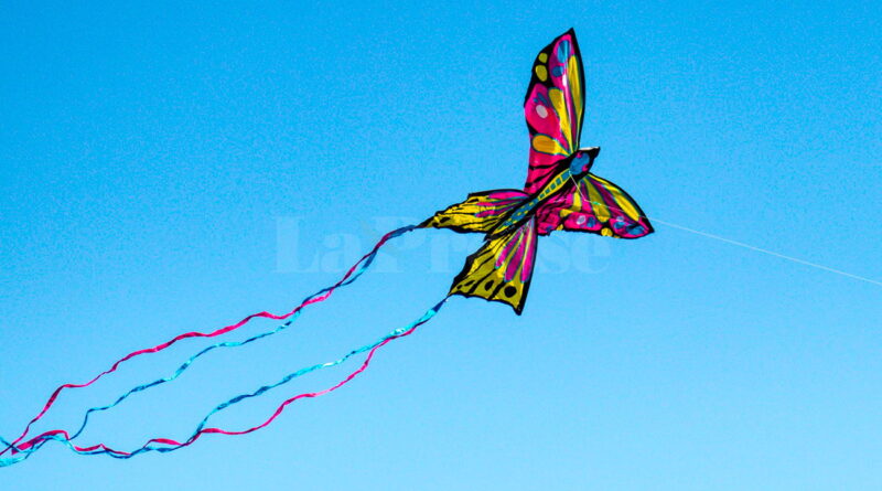 17 pays au Festival international des cerfs-volants en Tunisie fin mars.