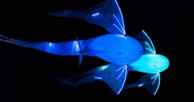 À Liège, la Nocturne des Coteaux se déroulera désormais au printemps.